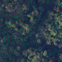 Mapping services